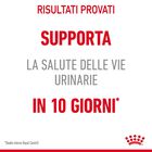 Royal Canin Cat Adult Urinary Care Gravy 85 gr
