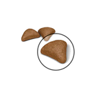 Royal Canin Cat Adult Hairball 400 gr