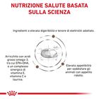 Royal Canin Veterinary Diet Cat Gastrointestinal Moderate Calorie 2 kg