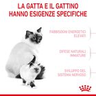 Royal Canin Cat Adult e Kitten Mother and Babycat 400 gr
