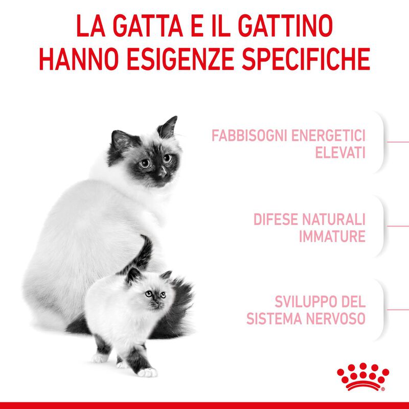 Royal Canin Cat Adult e Kitten Mother and Babycat 400 gr