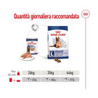 Royal Canin Dog Maxi Ageing 410 gr 