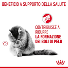 Royal Canin Cat Adult Hairball 400 gr
