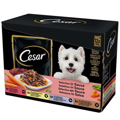 Cesar Dog Delizie del Giorno con Pollo e Verdure Manzo e Carote in Salsa 12 x 100 gr