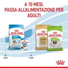 Royal Canin Dog Puppy X-Small 500 gr
