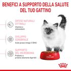 Royal Canin Cat Kitten 2 kg