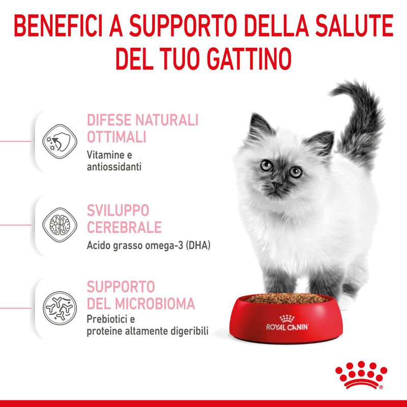 Royal Canin Cat Kitten 2 kg