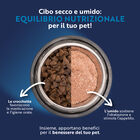 Monopro Dog Adult Mini Grain Free Salmone 2Kg