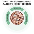 Schesir Cat Adult Tonnetto con Manzo in jelly 85 gr