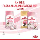 Royal Canin Cat Adult e Kitten Mother and Babycat 400 gr
