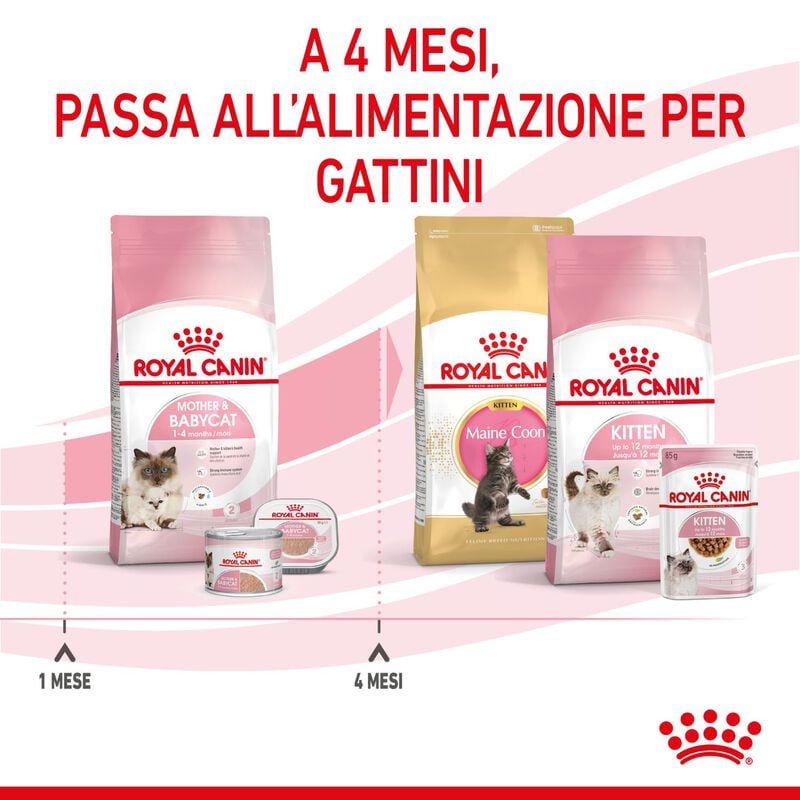 Royal Canin Cat Adult e Kitten Mother and Babycat 400 gr