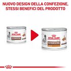 Royal Canin Veterinary Diet Dog Adult Gastrointestinal Low Fat 200 gr
