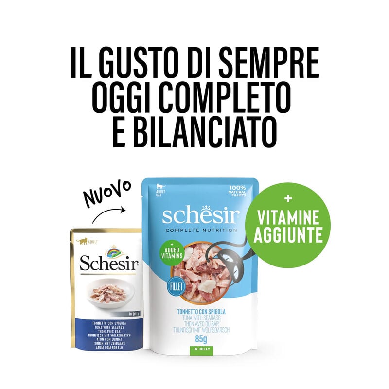 Schesir Cat Adult Tonnetto con Spigola 85 gr