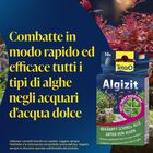 Tetra Algizit 10 Compresse