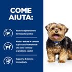 Hill's Prescription Diet Dog l/d 370 gr