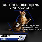 Purina Pro Plan Cat Adult Indoor con Salmone in Salsa 85 gr
