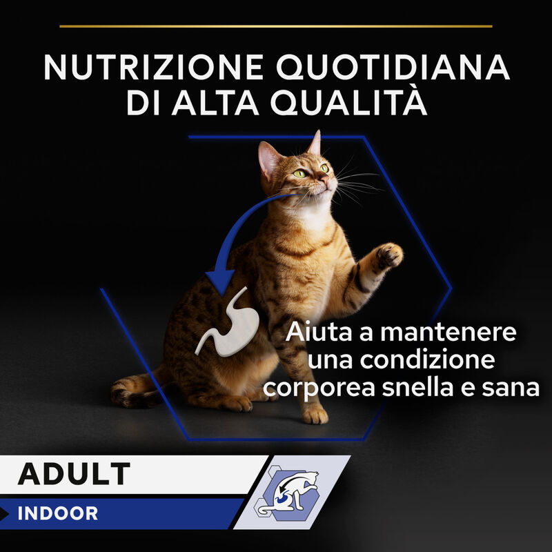 Purina Pro Plan Cat Adult Indoor con Salmone in Salsa 85 gr