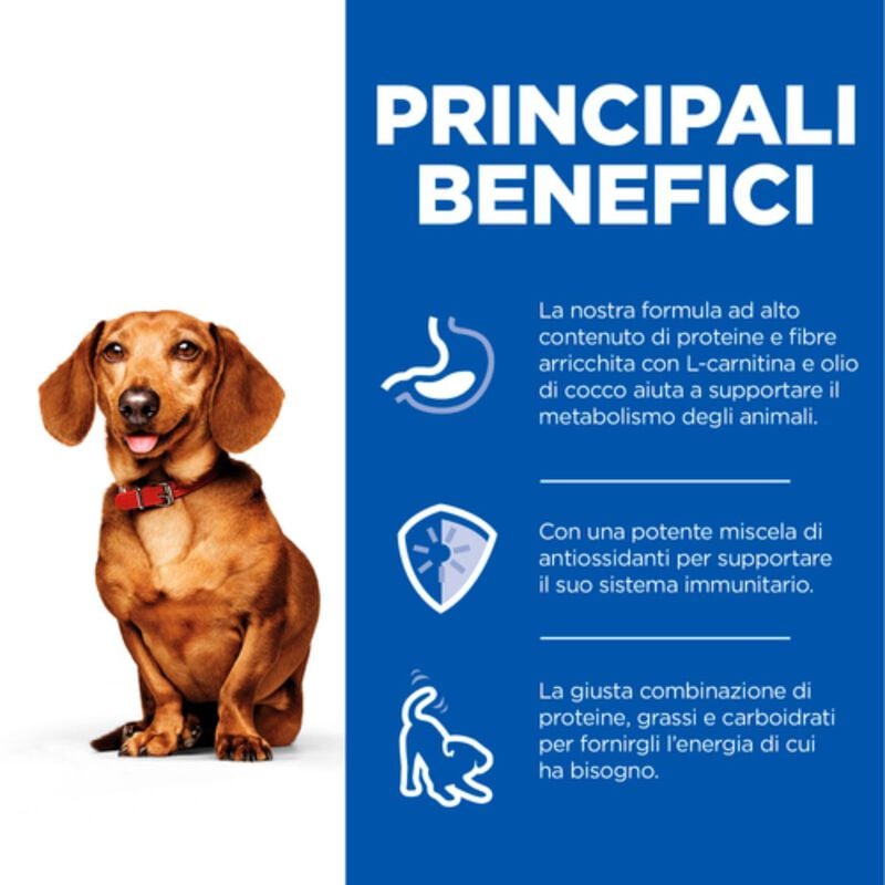 Hill's Science Plan Perfect Weight Dog Adult Small & Mini Mousse tacchino 200 gr