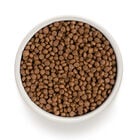 Grandorf Cat Adult Indoor 4 Carni 2Kg
