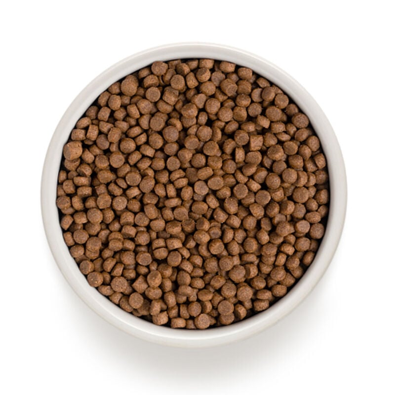 Grandorf Cat Adult Indoor 4 Carni 2Kg