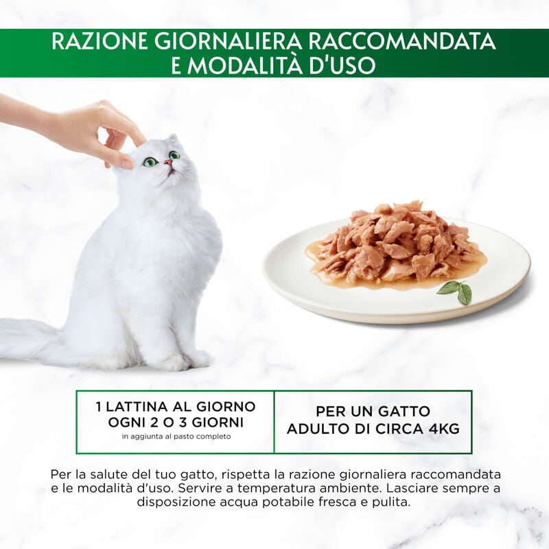 Gourmet Nature's Creations Trancetti di Tonnetto in Salsa 70 gr