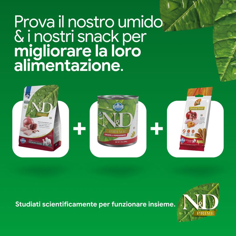 N&D Farmina Prime Dog Adult Medium & Maxi Pollo & Melograno 12 kg