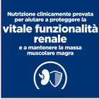 Hill's Prescription Diet Kidney Care per Gatti adulti con Salmone 1,5kg