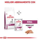 Royal Canin Veterinary Diet Dog Renal 14 kg