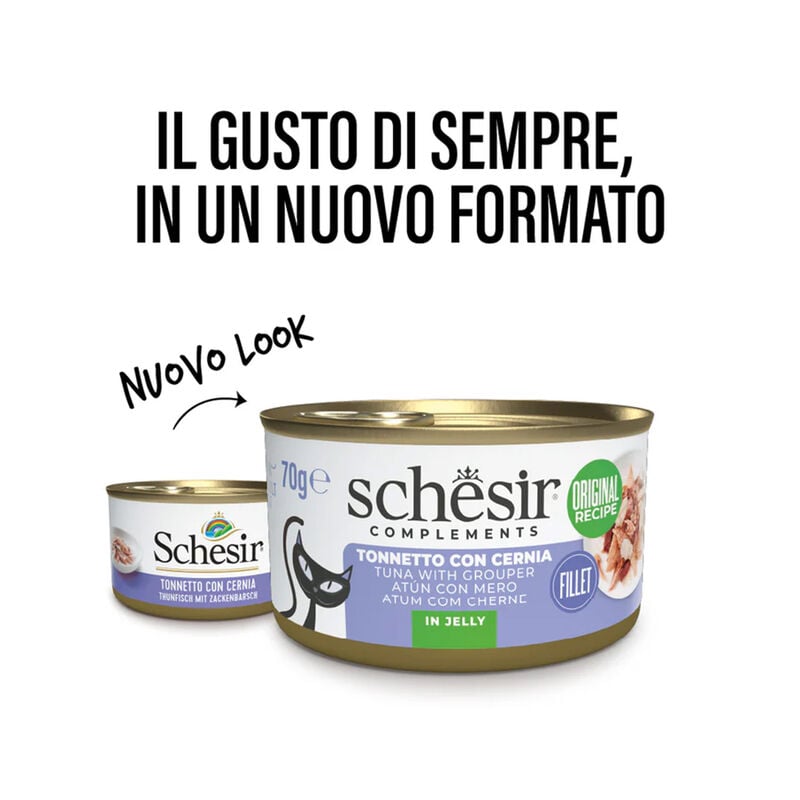 Schesir Cat Adult Tonnetto con Cernia in jelly 70 gr