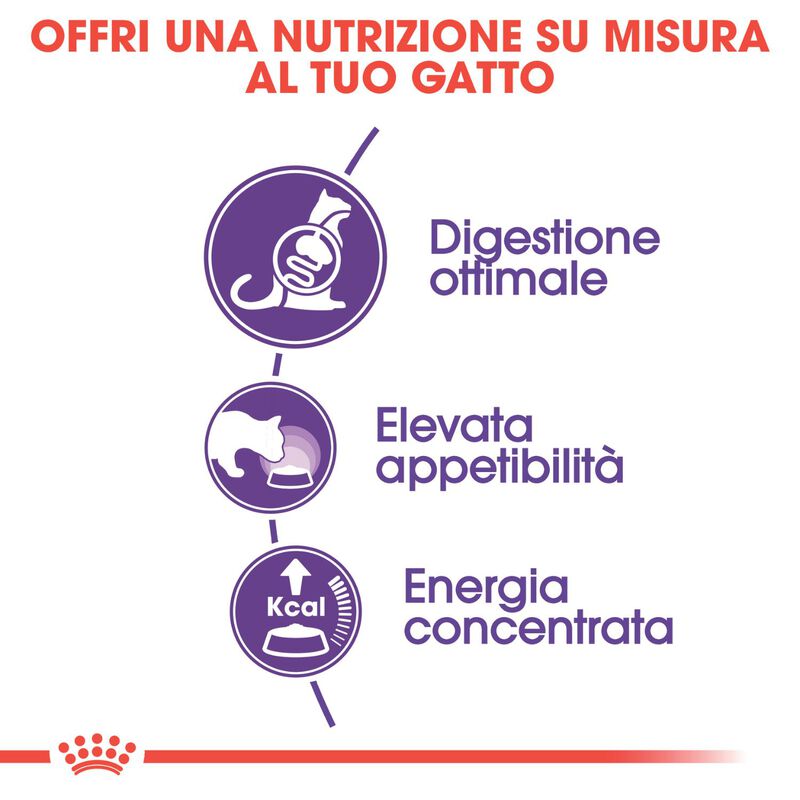 Royal Canin Cat Adult Sensible 33 4 kg