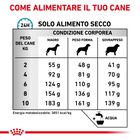 Royal Canin Veterinary Diet Dog Small Anallergenic 3 kg