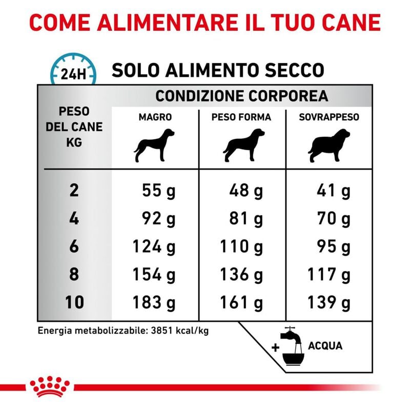 Royal Canin Veterinary Diet Dog Small Anallergenic 3 kg