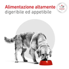 Royal Canin Veterinary Diet Dog Adult Glycobalance 1,5kg