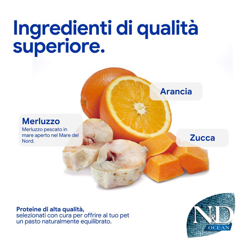 N&D Farmina Ocean Dog Adult Medium & Maxi Merluzzo, Zucca & Arancia 12 kg
