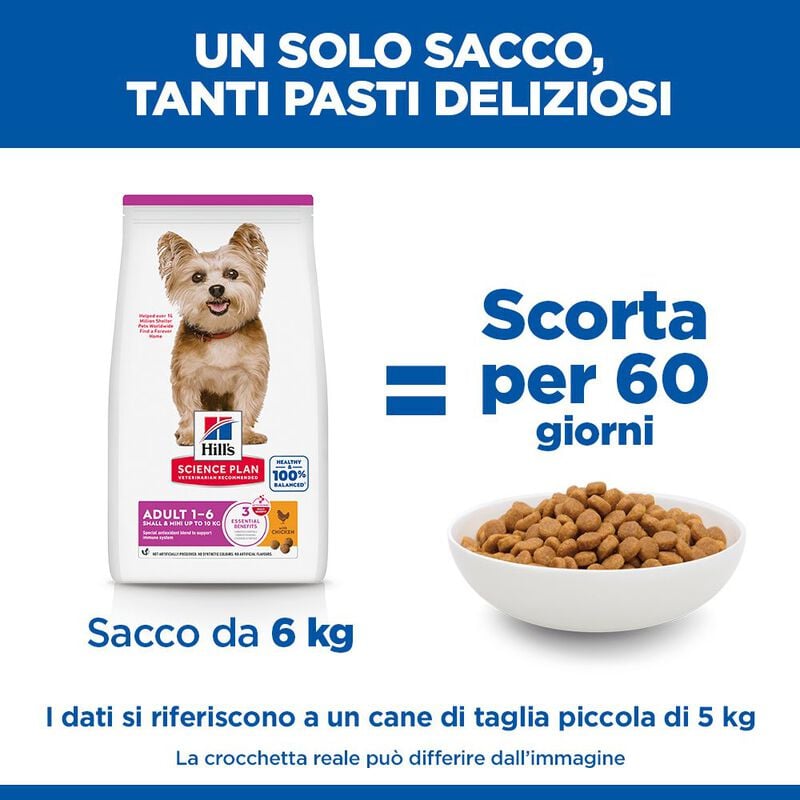 Hill's Science Plan Dog Small & Mini Adult con Pollo 300 gr