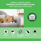 Frontline Combo Spot-On gatti e furetti 3 pipette
