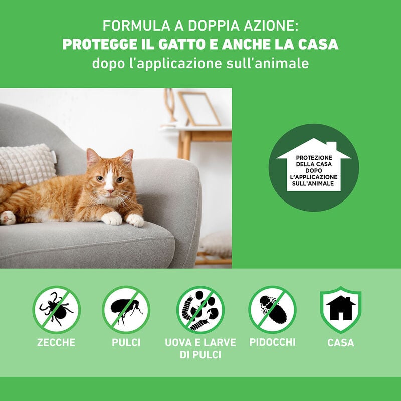 Frontline Combo Spot-On gatti e furetti 3 pipette
