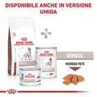 Royal Canin Veterinary Diet Dog Hepatic 1,5 kg