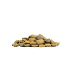 Forza10 Active Vet Diet Dog Adult Echo 10 kg