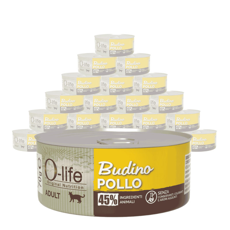 O-life Cat Adult Budino Pollo 70gr