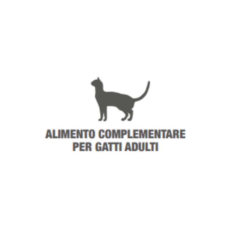 Monge Gift Cat Adult Appetito Difficile con Maiale e Formaggio 60 gr