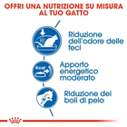 Royal Canin Cat Adult Indoor 27 10 kg