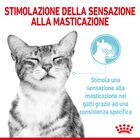 Royal Canin Cat Adult Sensory Feel Salsa 85 gr