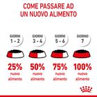Royal Canin Kitten in Salsa 85 gr
