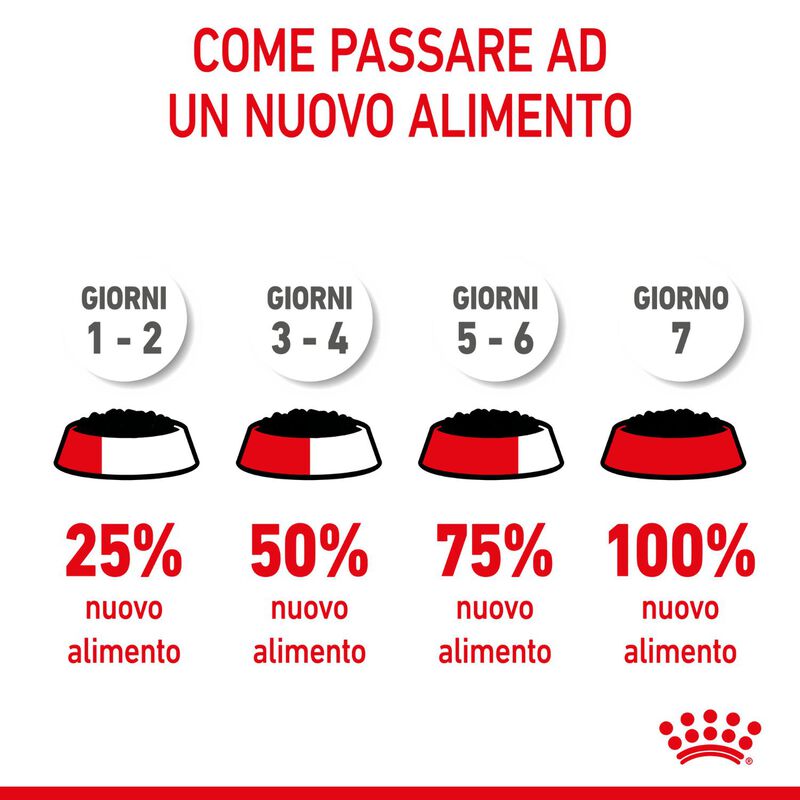 Royal Canin Kitten in Salsa 85 gr