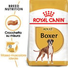 Royal Canin Dog Adult e Senior Boxer 3 kg