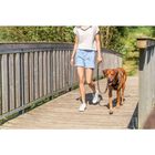 Trixie Pettorina Active Color Azzurro Tg M