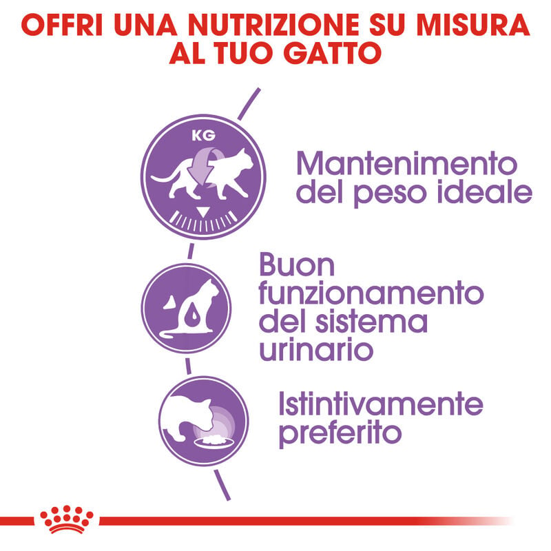 Royal Canin Cat Adult Sterilised in Gelly 85gr
