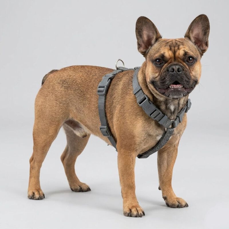 Trixie Premium Pettorina ad H Color Grigio Tg S-M