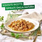 Gourmet Nature's Creations  Cat Adult  al Manzo con piselli e carote 85 gr